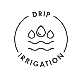 drip irrigation