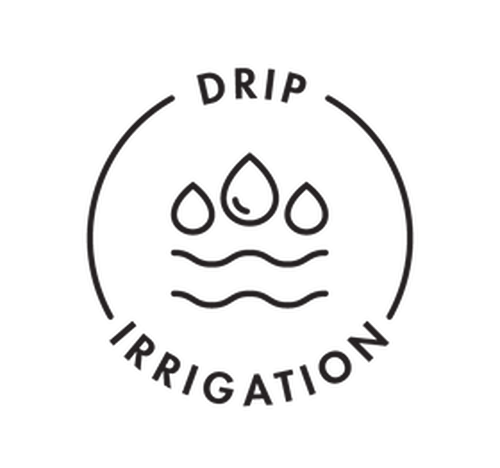 drip irrigation